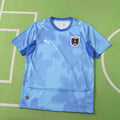 2026 FIFA World Cup Austria away