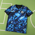2026 FIFA World Cup Paraguay away