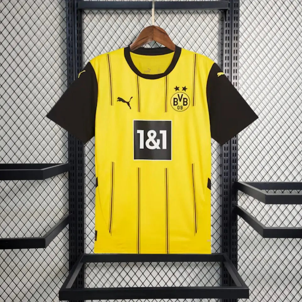 2526 season Borussia Dortmund Cup version Fan version